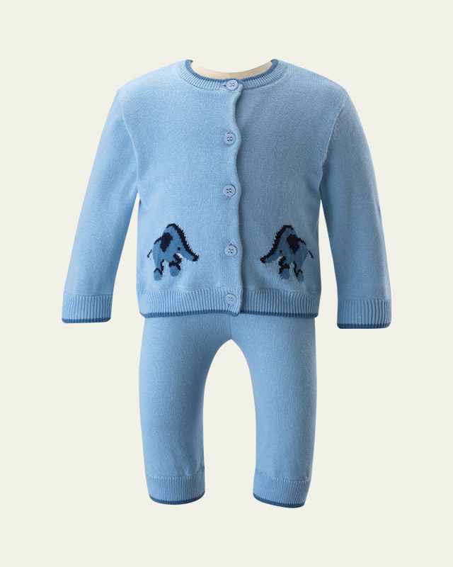 Boy's Elephant Intarsia Knit Set, Size 6M-24